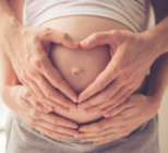 סקירה מכוונת למוח העובר: בדיקה חיונית-תמונה